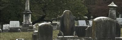 shredcoffinxxx thumbnail