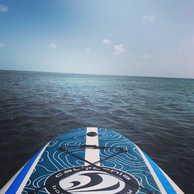 TheNakedBoarder thumbnail