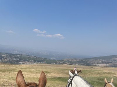 kmartfootie thumbnail