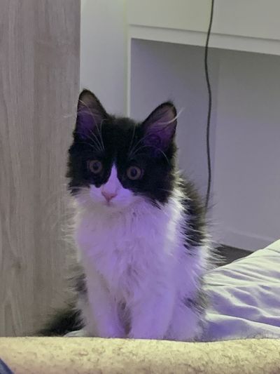 SWEET HOT 🍭 thumbnail