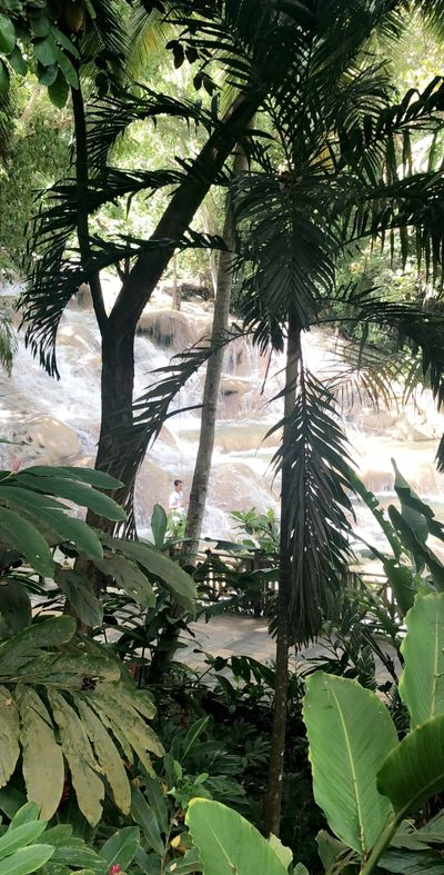 Somebody son thumbnail