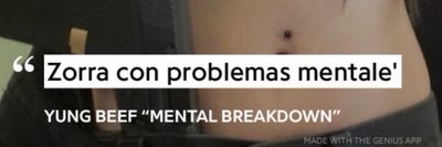 avemariaperrisima thumbnail