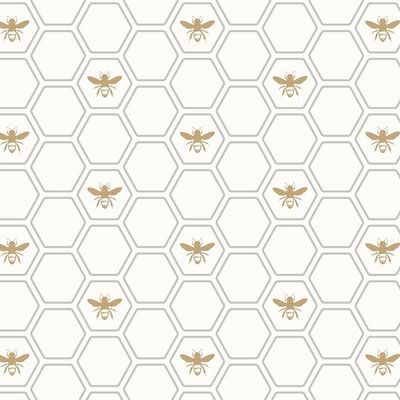 honeytitsccohost thumbnail