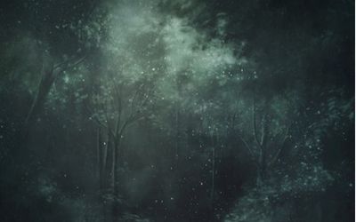 fox.emerald thumbnail