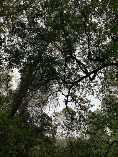 perkiins93 thumbnail