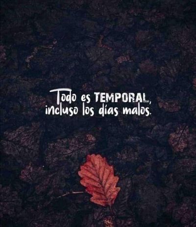 Veronica Gil thumbnail