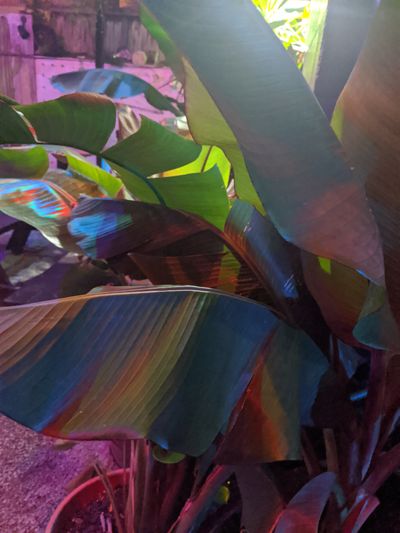 oatmilkkendy thumbnail