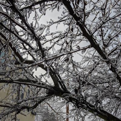 MajorButts69VIP thumbnail