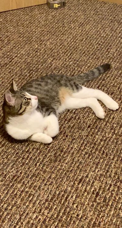 u122768307 thumbnail