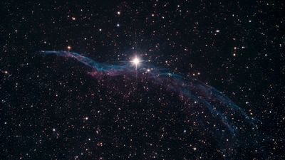 wulfiearticus thumbnail