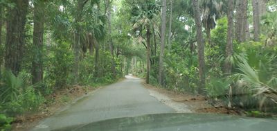 Southern Boy thumbnail