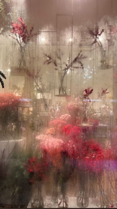 teemarie00 thumbnail