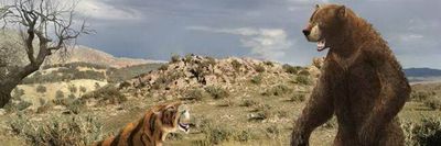 b_bryant_8267 thumbnail