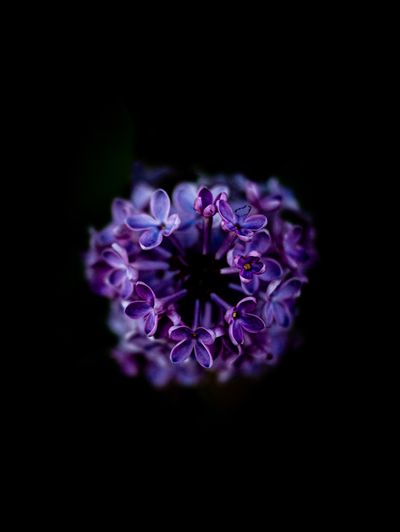 takeruakuyochi9 thumbnail