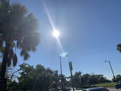 papitojoto thumbnail