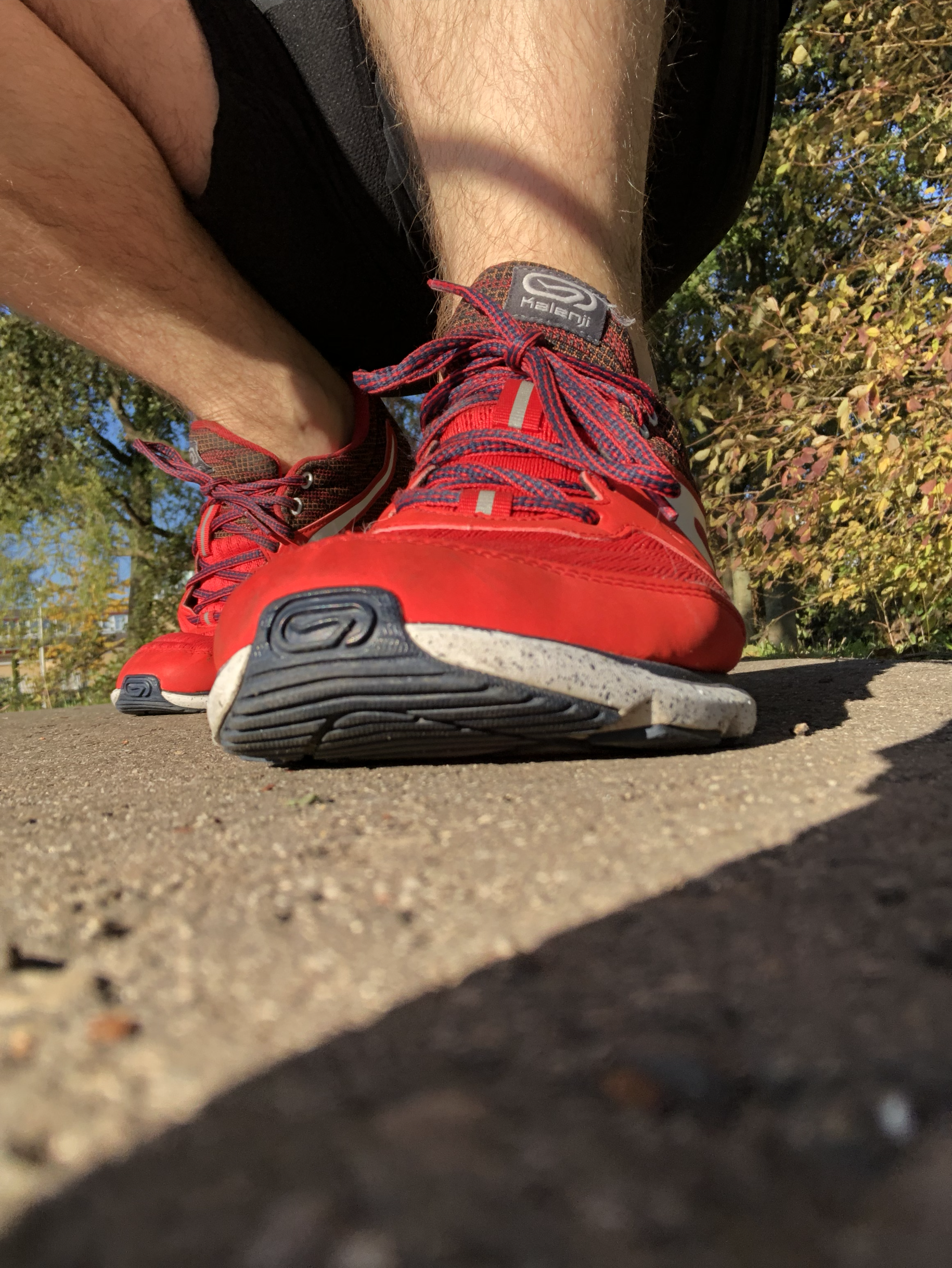 showershrinker thumbnail