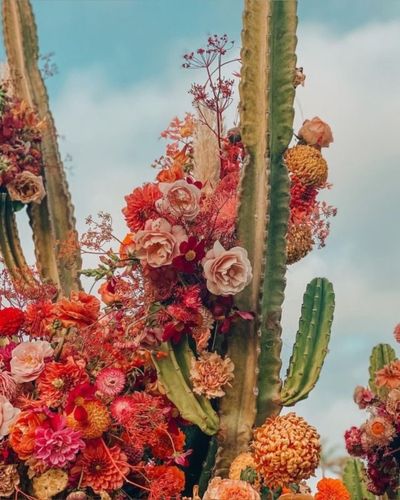 thatgirlliza thumbnail