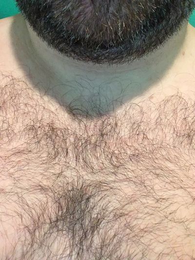 thebigbaddaddybear profile