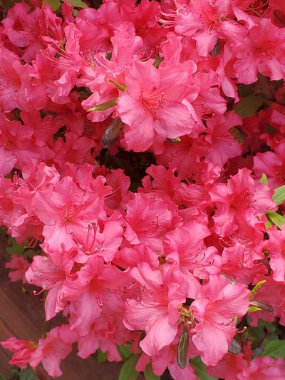 imanifaith705 thumbnail