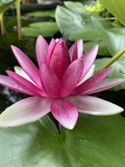 u165236801 thumbnail