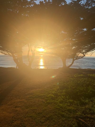 rideinthebenzz thumbnail