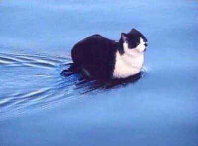 Billy James Sweets thumbnail