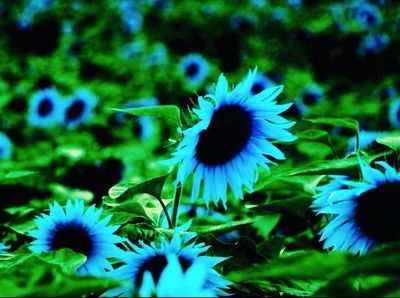 elegantfeet32 thumbnail