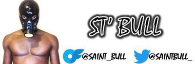 ST’ BULL thumbnail