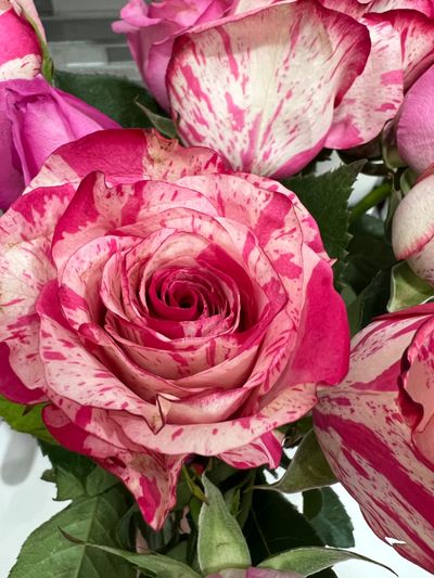 sunday summers 😵‍💫 free page! thumbnail