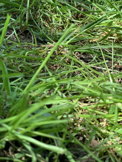 rachel_love091 thumbnail