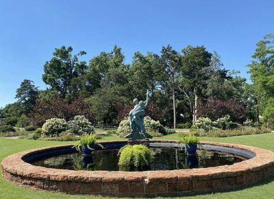 idelimboreduh2 thumbnail