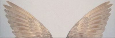 fionagallagherx3 thumbnail