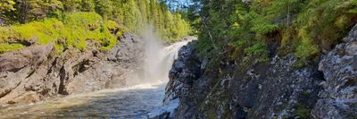 blueeladrin_ thumbnail