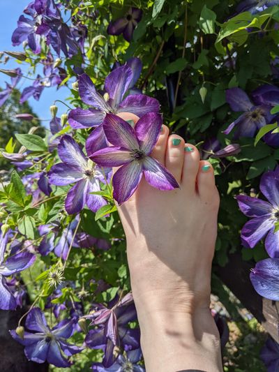 charlotteandeve profile