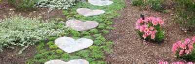 lilpochaco thumbnail