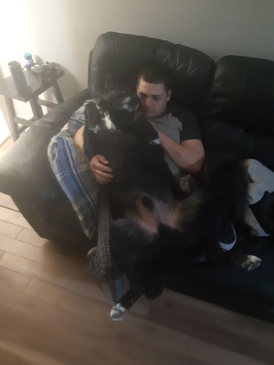 tonymorning-star profile