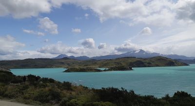 beautifulsouthcat thumbnail