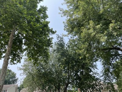 bekindtoall thumbnail