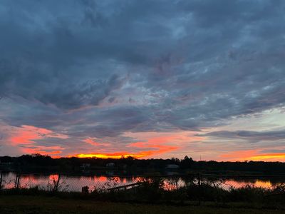 destinyrose15q thumbnail