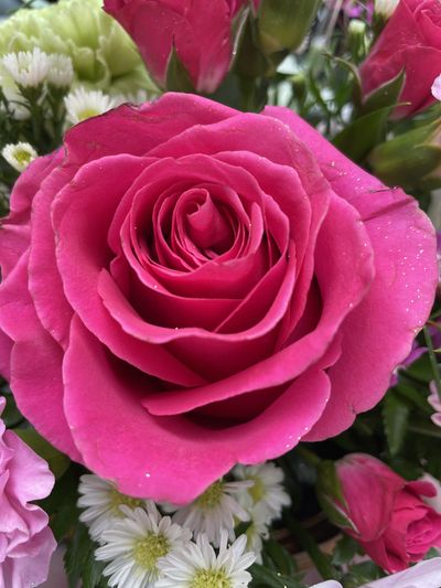 valentina_thevixen thumbnail