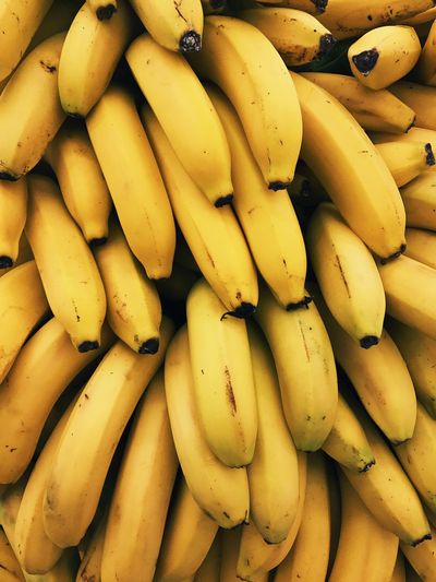 daniespina thumbnail