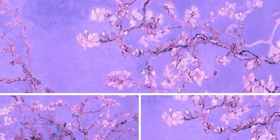 misanthrope0 thumbnail