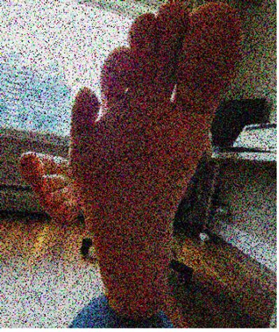 Tipitapitoes profile