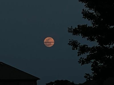 michaelmartinez381 thumbnail