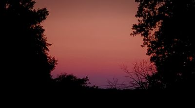 sugarhigh135 thumbnail