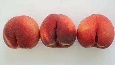 funbtmplay thumbnail