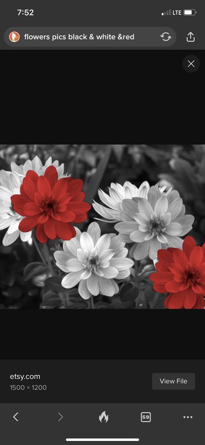 reginalynn thumbnail