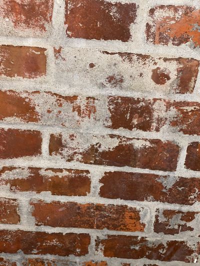 slimdogjim2 thumbnail