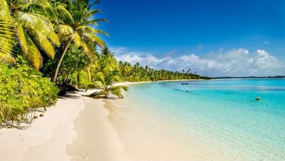 burcu-aktas557 thumbnail