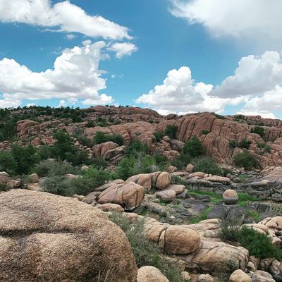 misslala.devine thumbnail